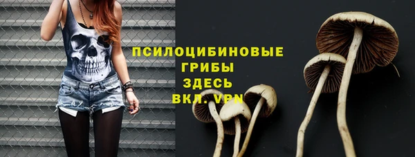 прущая мука Белокуриха