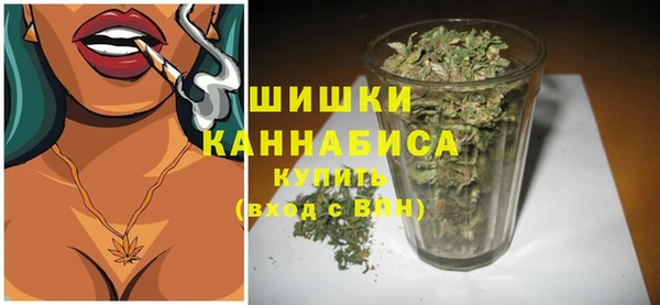 мдма Новозыбков