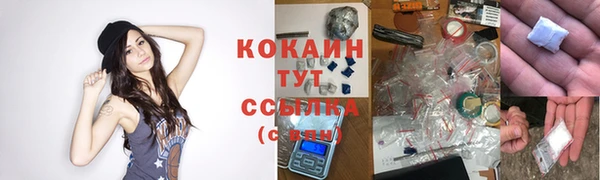 ГАЛЛЮЦИНОГЕННЫЕ ГРИБЫ Белоозёрский