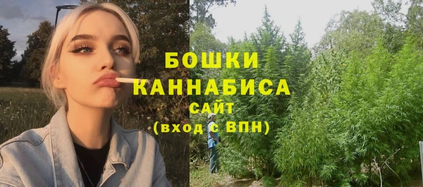 ГАЛЛЮЦИНОГЕННЫЕ ГРИБЫ Белоозёрский