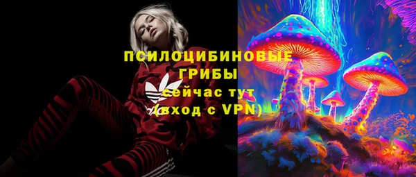 apvp Беломорск