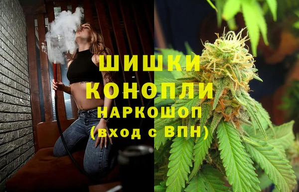 метадон Новодвинск