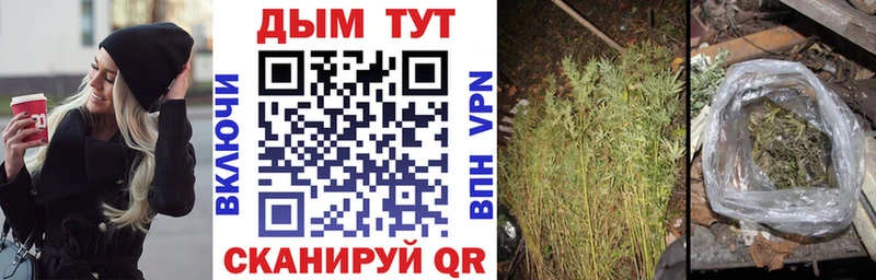 Бошки марихуана THC 21%  сколько стоит  Дудинка 